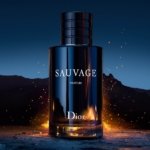 Dior Sauvage Eau de Parfum 100 ml 2 Y0998004_C099600455_E02_GHC