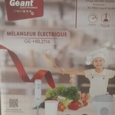Mélangeur Electrique GE-HBL21114 GEANT