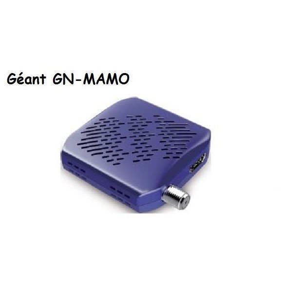 167120375602-Demo-MINI-HD-Geant-GN-MAMO-Siri-Shopping-Algerie-.jpg GEANT GN-MAMO – Image 1